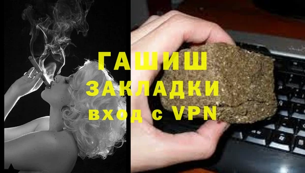 ГАЛЛЮЦИНОГЕННЫЕ ГРИБЫ Богданович